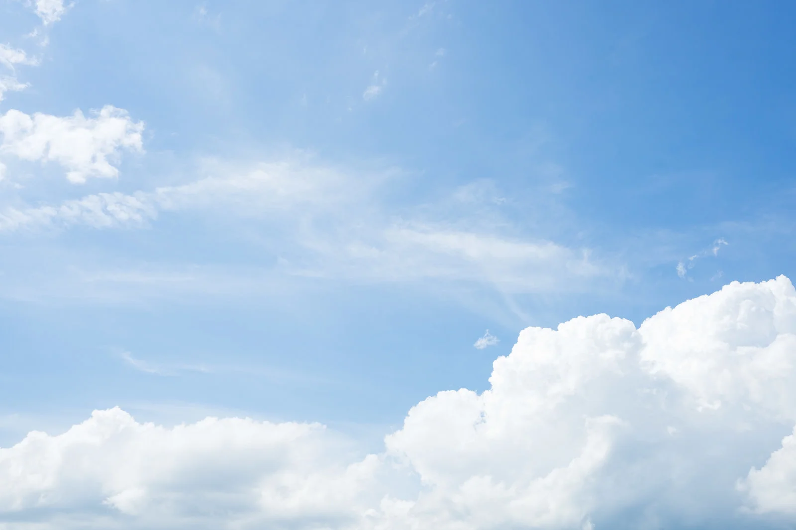 新着記事ダミー